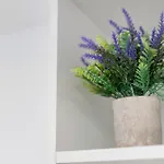 Apartamento Casa Gianpaolo *